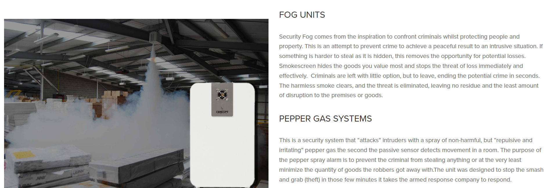 Business Security 15.png